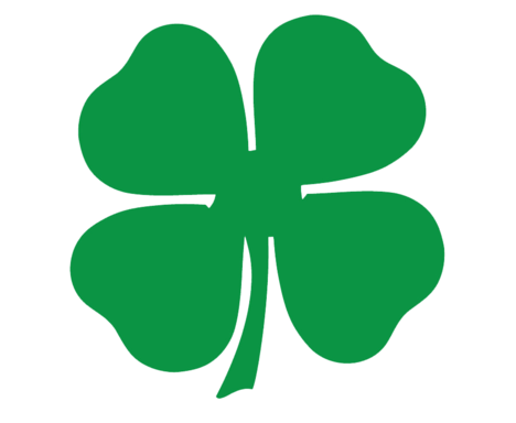 CloverTeam