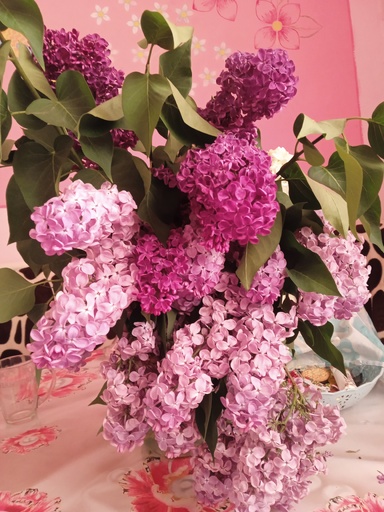OxanaM_80