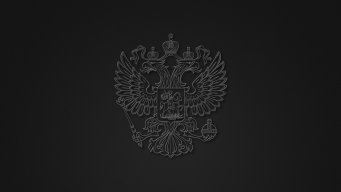 Putin_team