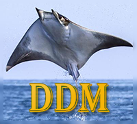 Diavolo Di Mare